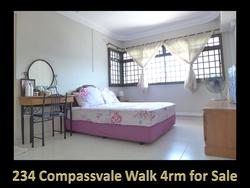 Blk 234 Compassvale Walk (Sengkang), HDB 4 Rooms #118342052